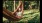 a person in a hammock reading a book
